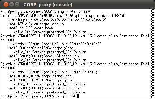 *Obs: Esse comando possibilita a verificação dos endereços das interfaces de rede da máquina. d. Observe a configuração do proxy utilizando o mesmo comando. O resultado deve ser: e.