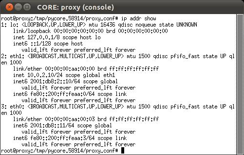 *Obs: Esse comando possibilita a verificação dos endereços das interfaces de rede da máquina. d. Observe a configuração do proxy utilizando o mesmo comando. O resultado deve ser: e.