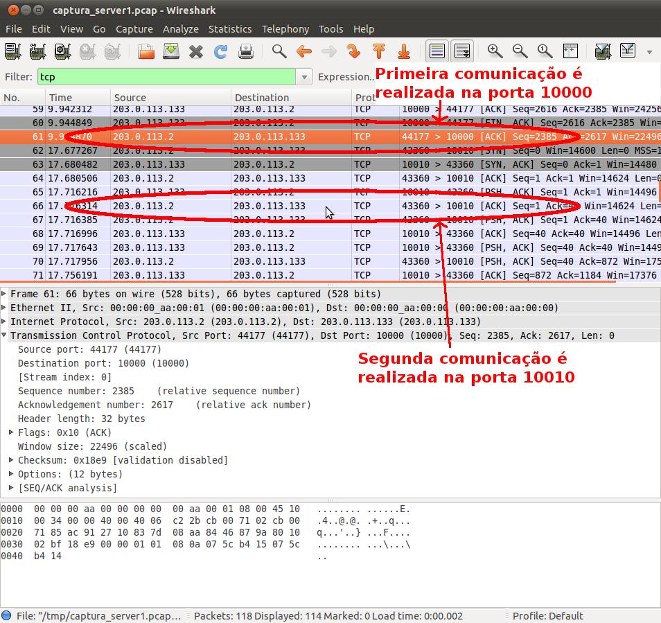 Para visualizar os pacotes na interface do servidor, abra o arquivo /tmp/captura_server1.pcap.