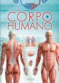 Novidades O Corpo Humano P.