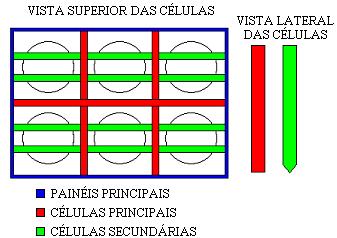 8 células.