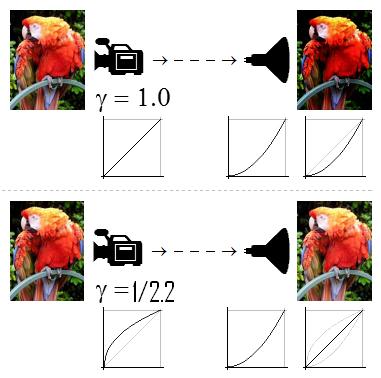 Ajuste de Gama Em um sistema de imagem, a luminância de cada um dos valore