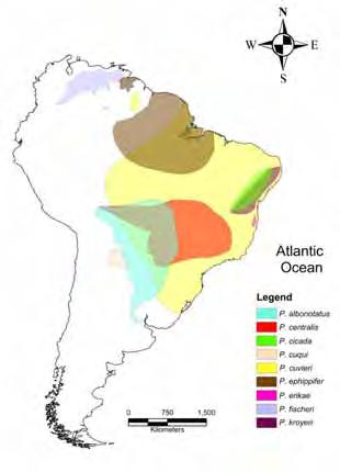 Figura 1 Mapa da América do Sul com a distribuição de ocorrência das