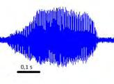 i) Figura 2 Sonograma, oscilograma e espectro de potência de uma nota do canto de anúncio de a) P.