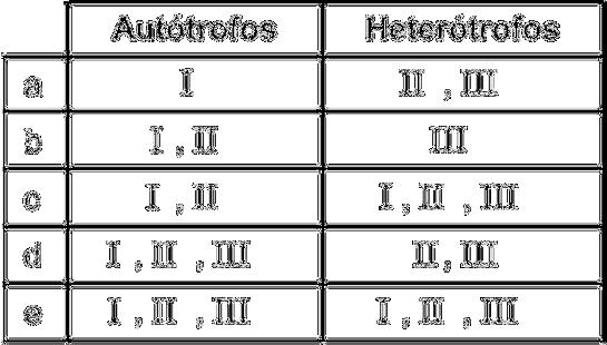 d) 4 ATP. e) 2 ATP. Questão 05) Considere os seguintes processos: I. Síntese de glicose a partir de H 2 O e CO 2. II. Transformação da glicose em outras substâncias orgânicas. III.