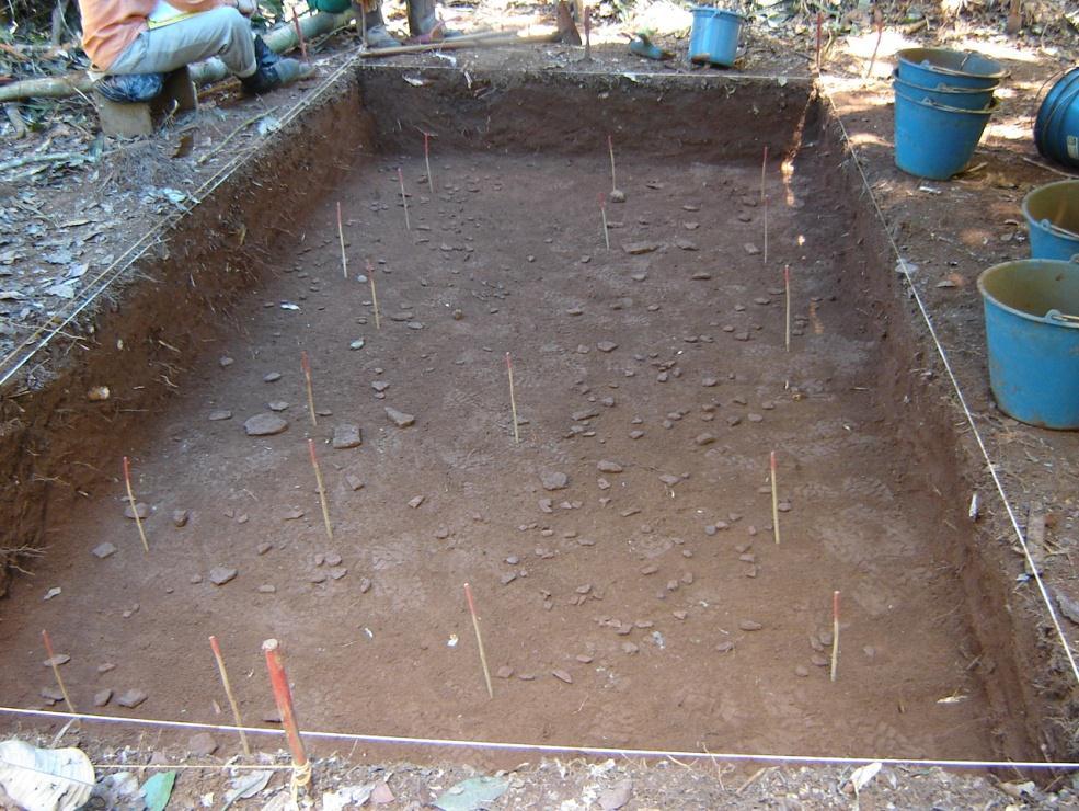 152 Fotografia 32: Fragmentos cerâmicos e artefatos líticos na Q - E3 no nível 30-40 cm. Autoria: Edinaldo Pinheiro Nunes Filho (2008). Durante a escavação do sítio arqueológico do GAP, coletou-se 2.