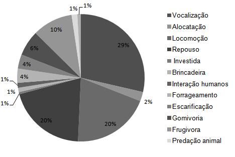 Figura 12. Tempo alocado pelos grupos de saguis-de-tufo-preto (Callithrix penicillata) em cada categoria comportamental.