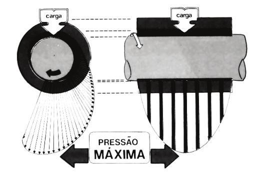 Distribuição da Pressão no mancal PROF.