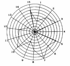 Cada uma dessas áreas possui de um até uma dúzia de pontos a serem checados, sendo que a pontuação de cada área varia entre 0 e 10.