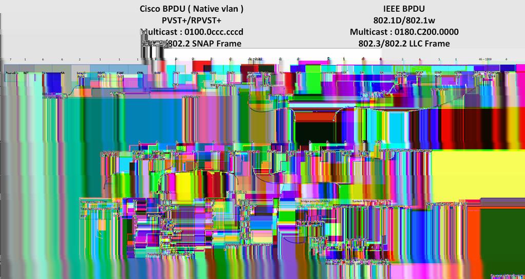 Para uma imagem mais de alta resolução, veja diagramas de Cisco BPDU, da IEEE BPDU, e BPDU. Nota: 0 mordido (alteração de topologia) são o bit menos significativo.