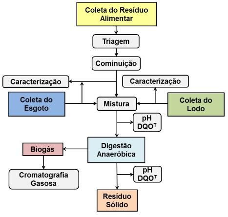 Os experimentos prosseguiram de acordo com o fluxograma apresentado na Figura 3. Figura 3: Fluxograma dos Experimentos. 4. RESULTADOS E DISCUSSÃO 4.