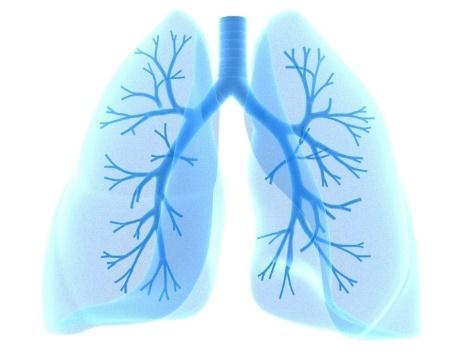 Embolia Pulmonar Diagnóstico e Tratamento Obrigado.