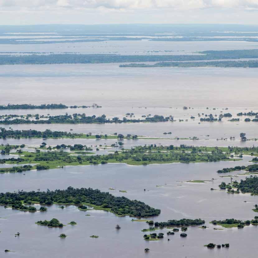 Alagamento do Rio Amazonas na região de Parintins, Estado do Amazonas, Brasil PROGRAMAS DE PESQUISA VOLTADOS A TEMAS ESPECÍFICOS Mudanças Climáticas Globais O Programa FAPESP de Pesquisa sobre