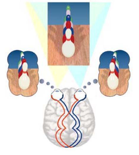 Figura 20: Esquema mostrando as imagens captadas em cada olho (par estereoscópico) e a imagem resultado da fusão deste par estereoscópico.