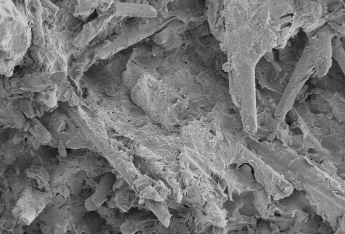 (A) (B) Figura 5: (A) Superfície de fratura observada por microscopia eletrônica por varredura de corpo de prova ensaiado em fadiga.