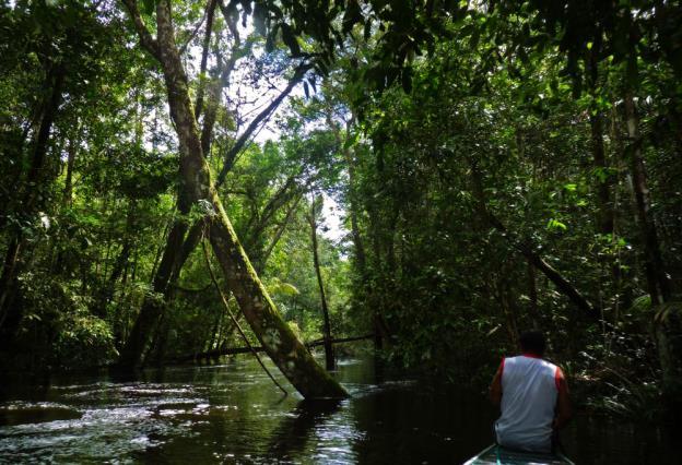 3º dia: Circuito Cachoeiras Selvagens da Amazônia No despertar aos sons da floresta, nossa equipe prepara o café da manhã, seguido de lazer na cachoeira, piscinas naturais e contemplação da natureza