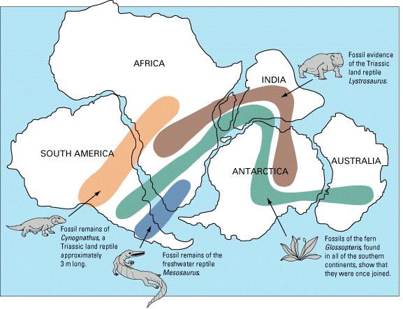 A teoria de Wegener se apoiava especialmente na similaridade entre as linhas de costa da América do Sul e África, já notadas por Ortelius, por