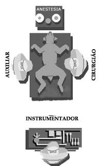 Posicionamento da equipe cirúrgica à mesa de instrumentais ORGANIZAÇÃO DA MESA DE INSTRUMENTAIS As mesas auxiliares devem ser protegidas com uma folha de borracha que, ao mesmo tempo em que amortece