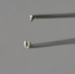 PINÇAS DISSECÇÃO São também conhecidas como pinças tipo mola e consistem em dois segmentos metálicos (hastes) unidos em uma extremidade.