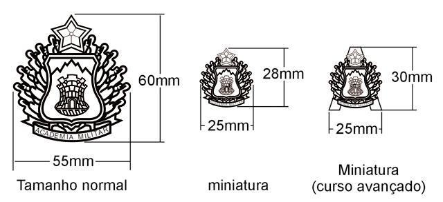 Imprimir Anexo B Capítulo VI Dos Distintivos Art. 33.