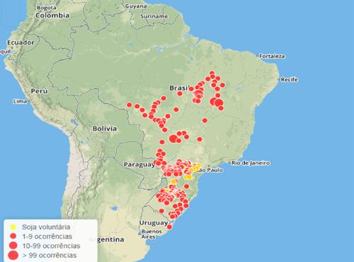 FERRUGEM ASIÁTICA, INIMIGA NÚMERO UM MAPA DE DISPERSÃO DA FERRUGEM ASIÁTICA NO BRASIL Fonte: Consórcio