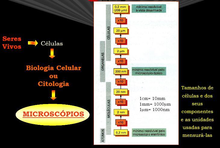 2. TAMANHO DAS CÉLULAS E SUAS MOLÉCULAS Mínimo resolvível à vista desarmada