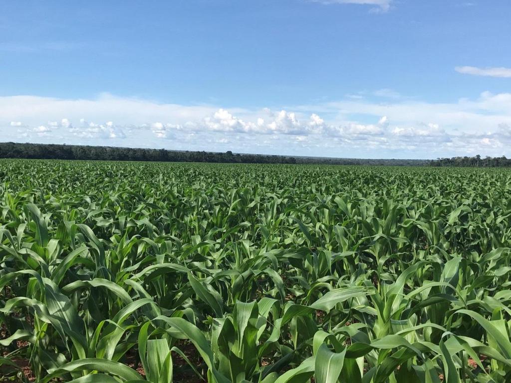 Mato Grosso Goiás Mapito (Maranhão, Piauí, Tocantins).