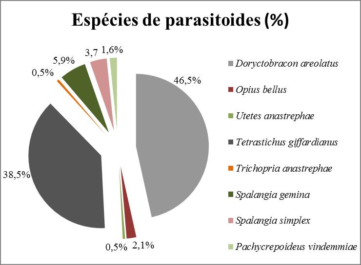 Eulophidae - Tetrastichus giffardianus Silvestri, 1915; Diapriidae - Trichopria anastrephae Costa Lima, 1940; e Pteromalidae - Spalangia gemina Boucek, 1963, Spalangia simplex Perkins, 1910 e