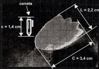 Os dados nos indicam que o mapa observado pelo estudante está na escala de a) 1 : 250 b) 1 : 2.500 c) 1 : 25.000 