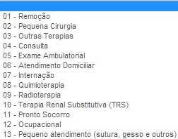 HILUM SOLICITAÇÃO/EXECUÇÃO DE SADT Campo 32 Tipo de Atendimento - Este campo precisa ser preenchido de acordo com o procedimento solicitado.