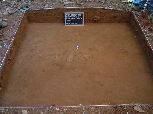 No total foram feitas doze escavações, cada uma compreendendo de duas a quatro unidades de 1 m X 1 m que alcançaram entre 70 a 100 cm de profundidade.