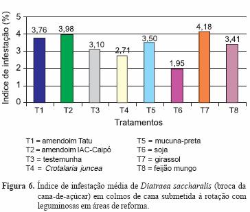 Crotalária