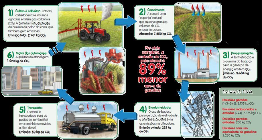 Ciclo de Carbono da Cana Dados relativos à emissão