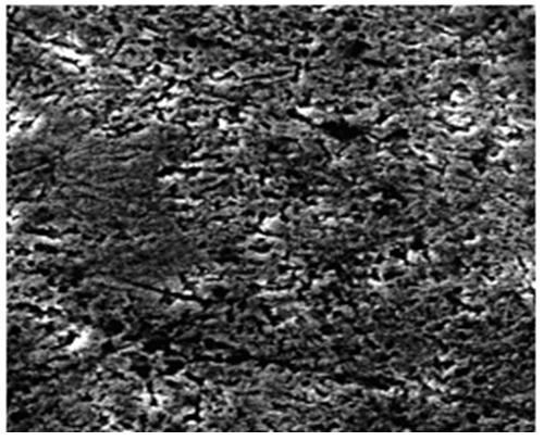 Figura 3. Micrografia da superfície do cobre para o tempo de imersão de 24 horas, na presença do extrato.