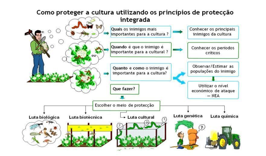 proteção