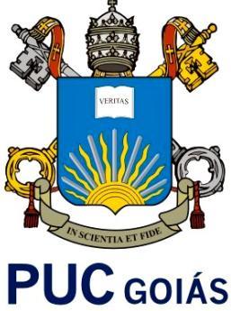 PUC Pontifícia Universidade Católica de Goiás Departamento de Engenharia Civil ESTRUTURAS