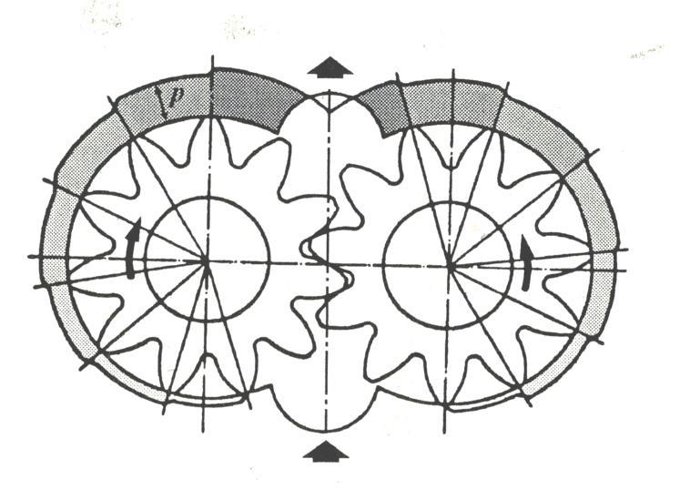 forças e