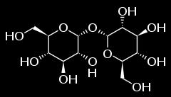 Dissacarídeos