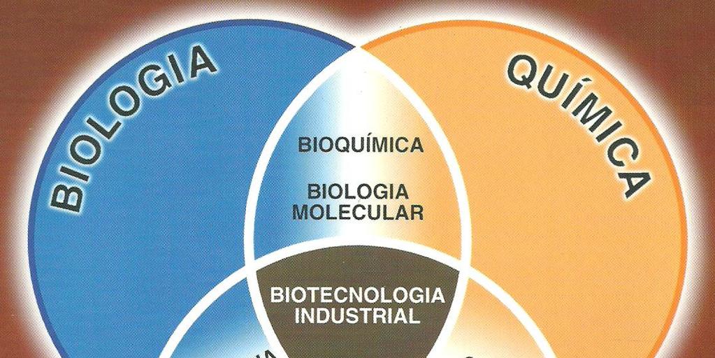 5. BIOTECNOLOGIA INDUSTRIAL A biotecnologia encontra muitas aplicações nas seguintes áreas: agricultura, pecuária, saúde, meio ambiente e indústria.