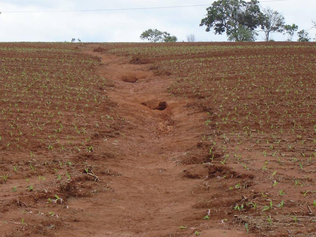 Agricultura brasileira no sistema tradicional.