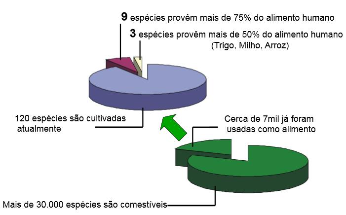 Com o tempo, restringimos o número de espécies usadas como plantas alimentícias... Monocultivo, tendência iniciada na Europa com a industrialização a partir de - 1800.