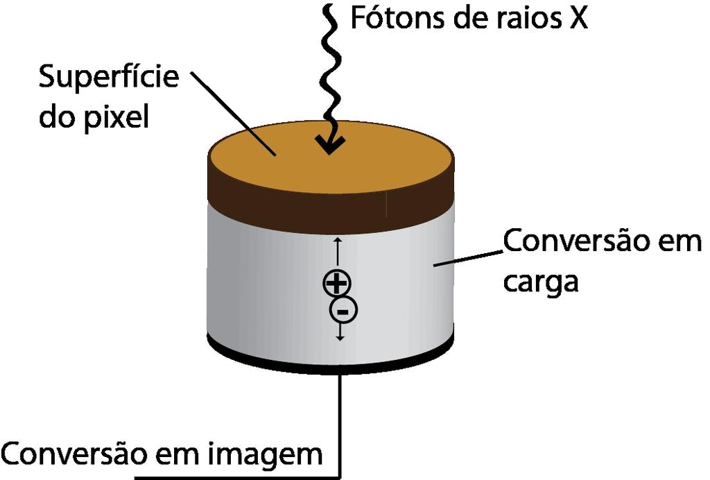 1.2.2 Sistemas digitais diretos Esses sistemas possuem muitos componentes : Fonte de alta tensão; Eletrodo do topo; Camada dielétrica; Fotocondutor; Eletrodo de coleta; Transistor de filme fino