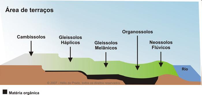 Solos do Brasil em correlação a: Relevo Figura 1.