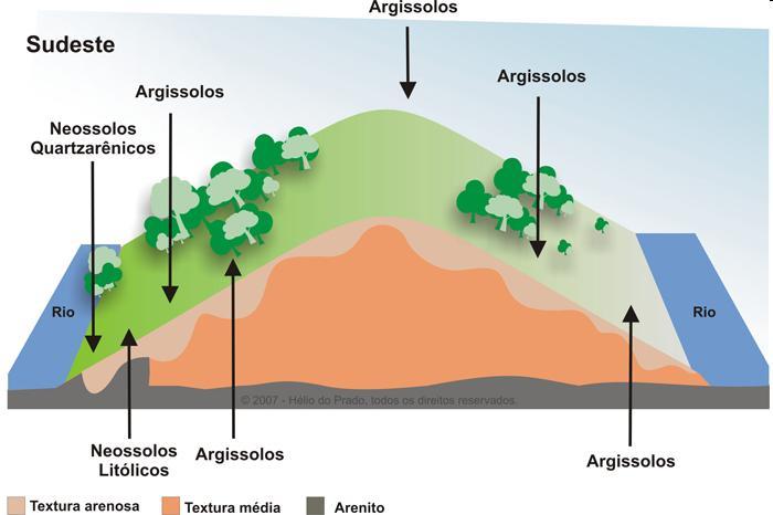 Solos do Brasil em correlação a: Relevo Figura 2.