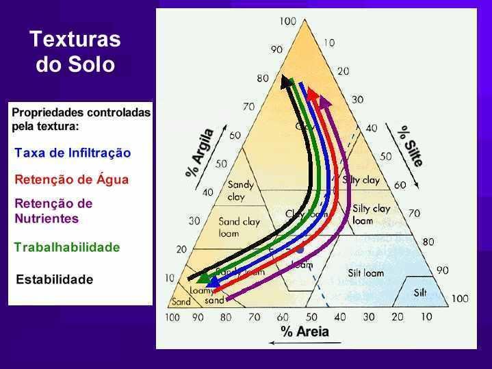 Tipos de Solo em Função dos seus Constituintes Degradação do Solo Erosão Erosão do solo tem relação direta com a escassez de alimentos e com a fome A erosão pode ser devida à causas naturais ou à