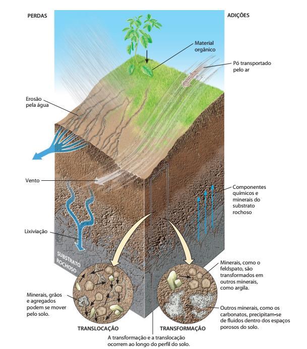 Os solos são geossistemas que se desenvolvem por meio de entradas de novos materiais, perdas de materiais originais e modificação causada por mistura física e reações químicas.