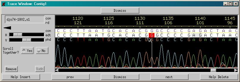 5. Go to a specific position filling the field at the right upper corner of the window and pressing the enter key. 6.