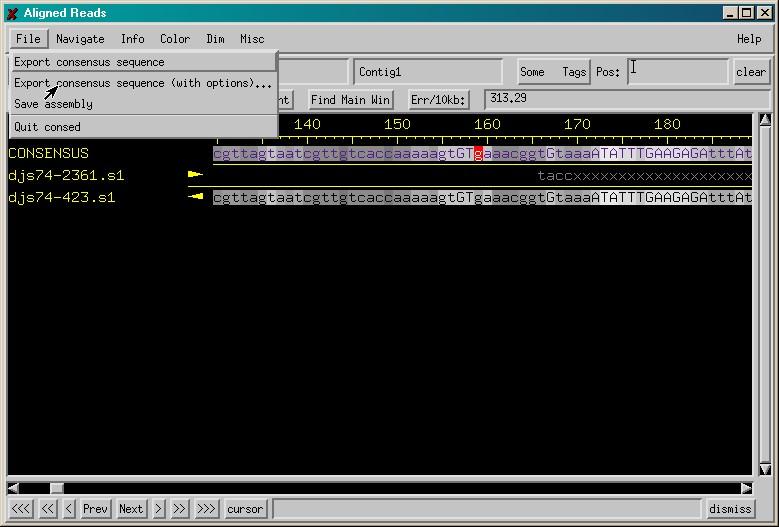 15. Identify the tags. What do they mean? 16. Press the button Compl Cont button below the task bar of the Aligned Reads Window. What happens with the consensus sequence? 17.