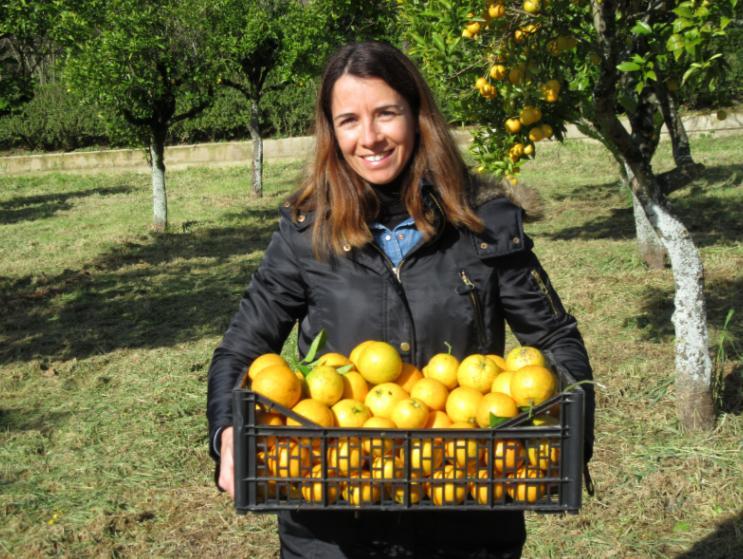 640 horas de voluntariado empresarial, um número que ultrapassou largamente o do ano anterior (3.