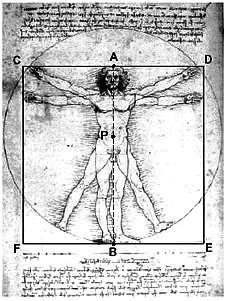 ..06 b) Determine a razão de ouro Φ. c) Na figura, temos o famoso desenho de Leonardo da Vinci conhecido como o Homem Vitruviano.